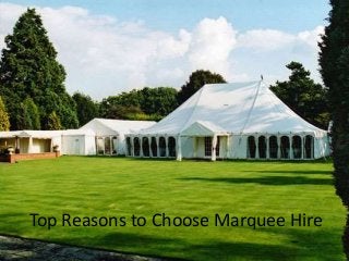 Top Reasons to Choose Marquee Hire
 