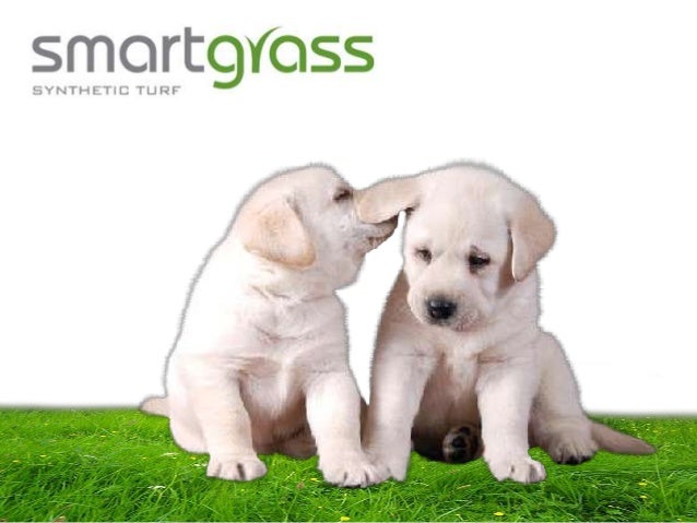 grass good for dogs
