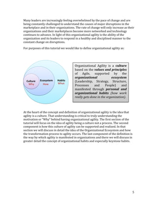 Keystone Habits of Organizational Agility | PDF