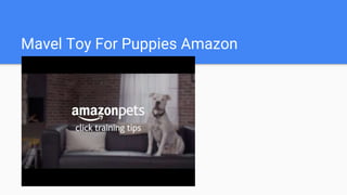Mavel Toy For Puppies Amazon
 