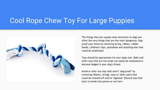Cool Rope Chew Toy For Large Puppies
The things that are usually most attractive to dogs are
often the very things that are the most dangerous. Dog-
proof your home by removing string, ribbon, rubber
bands, children's toys, pantyhose and anything else that
could be swallowed.
Toys should be appropriate for your dog's size. Balls and
other toys that are too small can easily be swallowed or
become lodged in your dog's throat.
Avoid or alter any toys that aren't "dog-proof" by
removing ribbons, strings, eyes or other parts that
could be chewed off and/or ingested. Discard toys that
start to break into pieces or are torn.
 