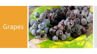 Grapes
 