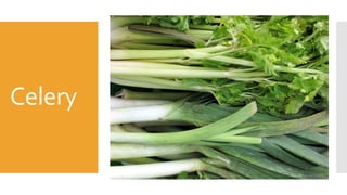 Celery
 