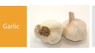 Garlic
 