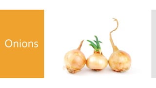 Onions
 