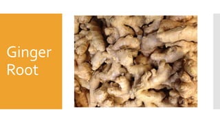 Ginger
Root
 
