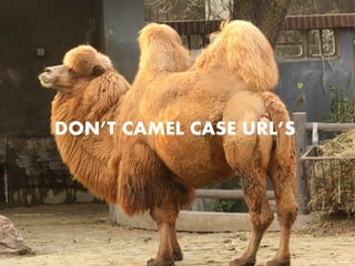 DON’T CAMEL CASE 鳢’S

 