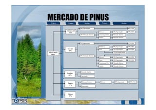 MERCADO DE PINUSMERCADO DE PINUS
Compensado
11%
Serrado
46%
Celulose
26%
Tora de Pinus
100%
80% Exportação
20% Mercado Interno
20% Exportação
80% Mercado Interno
Mercado Interno
80% USA
Móveis
Construção Civil
Outros
20% Exportação
Mercado Interno
Mercado Interno
40% USA
67% USA
Molduras 90% Exportação 97% USA
EGP 33% Exportação 51% USA
Móveis 20% Exportação 40% USA
Pisos 26% Exportação 90% USA
Construção Civil Mercado Interno
Outros Mercado Interno
77% Mercado Interno
Origem Produto Destino Produto Destino
Exportação
Painéis
11%
Mercado Interno
Exportação
Móveis 20% Exportação 40% USA
Outros
8%
 