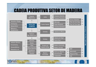 CADEIA PRODUTIVA SETOR DE MADEIRACADEIA PRODUTIVA SETOR DE MADEIRA
 