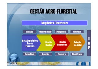 GESTÃO AGROGESTÃO AGRO--FLORESTALFLORESTAL
Negócios Florestais
Gestão de Ativos
Terras
Florestas
Gestão
Custos
Gestão
Financeira
Criação
de Valor
Inventário Cadastro Técnico Planejamento Comercial
Contabilidade Exaustão Financeiro Administração
E
R
P
 