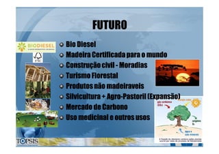 FUTUROFUTURO
Bio DieselBio Diesel
Madeira Certificadapara o mundoMadeira Certificadapara o mundo
ConstruçãocivilConstruçãocivil -- MoradiasMoradias
Turismo FlorestalTurismo Florestal
Produtosnão madeiraveisProdutosnão madeiraveis
Silvicultura+ AgroSilvicultura+ Agro--Pastoril(Expansão)Pastoril(Expansão)
Mercado de CarbonoMercado de Carbono
Uso medicinal e outros usosUso medicinal e outros usos
 