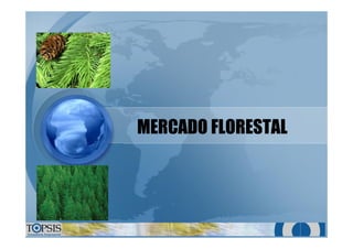 MERCADO FLORESTALMERCADO FLORESTAL
 