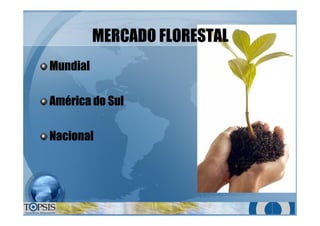 MERCADO FLORESTALMERCADO FLORESTAL
MundialMundial
América do SulAmérica do Sul
NacionalNacional
 