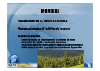 MUNDIALMUNDIAL
üü FlorestasNaturaisFlorestasNaturais:3.7 bilhões de hectares*:3.7 bilhões de hectares*
üü FlorestasplantadasFlorestasplantadas:187 milhões de hectares*:187 milhões de hectares*
üü TendênciaMundialTendênciaMundial::
üü Redução da taxa de desmatamento e aumento de novasRedução da taxa de desmatamento e aumento de novas
plantações de rápido crescimento, por razõesplantações de rápido crescimento, por razões
ambientais,maiores conhecimentos tecnológicos na utilizaçãoambientais,maiores conhecimentos tecnológicos na utilização
de florestas plantadas e aproveitamento de terras degradadas.de florestas plantadas e aproveitamento de terras degradadas.
* SEG. FAO- ano 2000
 