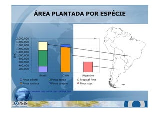 ÁREA PLANTADA POR ESPÉCIEÁREA PLANTADA POR ESPÉCIE
Source: Holtz Consultoria, 2003; INFOR, 2001; SAGPyA, 2001
-
200,000
400,000
600,000
800,000
1,000,000
1,200,000
1,400,000
1,600,000
1,800,000
2,000,000
Brazil Chile Argentina
(ha)
Pinus elliottii Pinus taeda Tropical Pine
Pinus radiata Pinus oregon Pinus spp.
 
