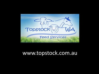 www.topstock.com.au
 