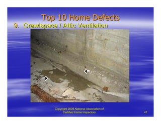 Top Ten Common Defects | PDF