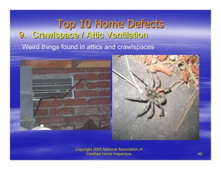 Top Ten Common Defects | PDF