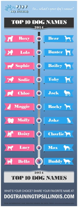 DOGTRAININGTIPSILLINOIS.COM
Roxy Bear
Buster
Bailey
Toby
Jack
Rocky
Jake
Charlie
Max
Buddy
Lola
Sophie
Sadie
Chloe
Maggie
Molly
Daisy
Lucy
Bella
9
8
7
6
5
4
3
2
1
10
TOP 10 DOG NAMES
TOP 10 DOG NAMES
So... what’s your dog’s name?
WHAT’S YOUR CHOICE? SHARE YOUR FAVORITE NAME AT:
THIS INFOGRAPHIC WAS CREATED BASED ON DATA FROM www.statisticbrain.com
 