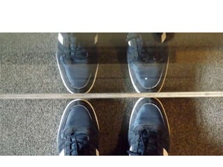 Top Fifteen Photographs