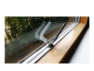 Top Fifteen Photographs