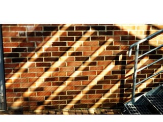 Top Fifteen Photographs