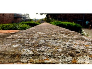 Top Fifteen Photographs