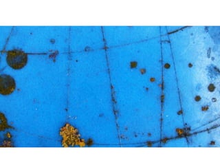 Top Fifteen Photographs