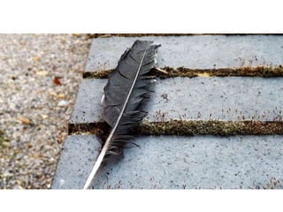 Top Fifteen Photographs