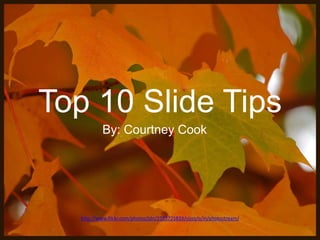 Top 10 Slide Tips
By: Courtney Cook

http://www.flickr.com/photos/jdn/2503725833/sizes/o/in/photostream/

 
