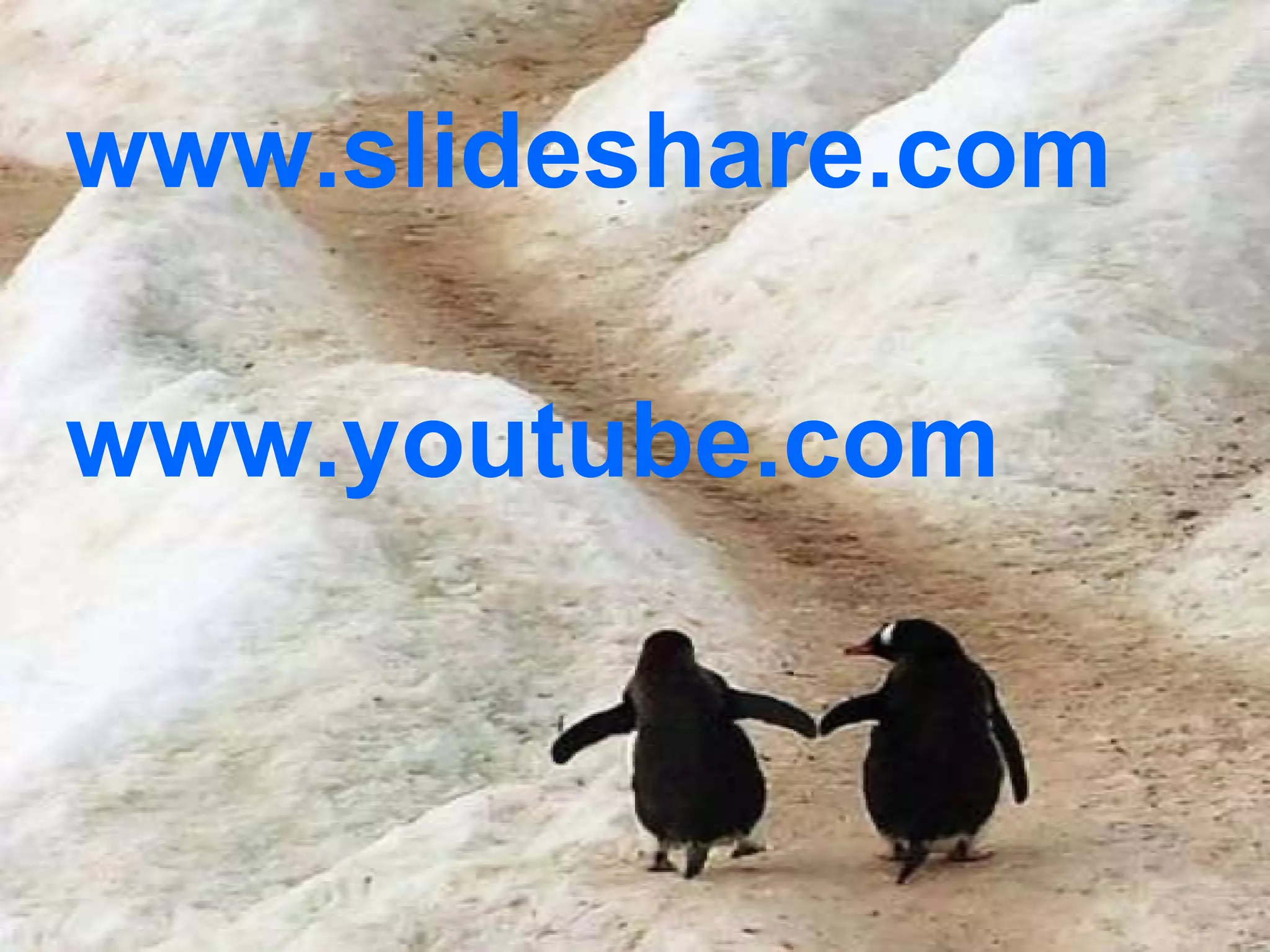 www.slideshare.com www.youtube.com