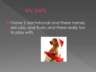 		My petsI have 2 dachshunds and there names are Lizzyand Rusty and there really fun to play with.