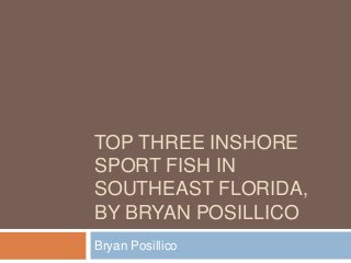 TOP THREE INSHORE
SPORT FISH IN
SOUTHEAST FLORIDA,
BY BRYAN POSILLICO
Bryan Posillico
 