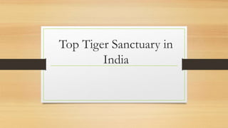 Top Tiger Sanctuary in
India
 