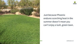 Top Tips for a Greener Lawn in Phoenix - Custom Weed & Pest Control | PPTX