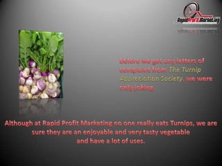 Before we get any letters of complaint from The Turnip Appreciation Society, we were only joking.Although at Rapid Profit Marketing no one really eats Turnips, we are sure they are an enjoyable and very tasty vegetable and have a lot of uses.
