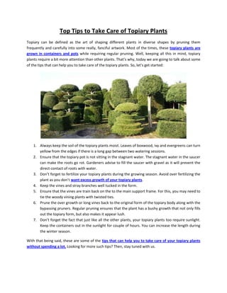 Top Tips to Take Care of Topiary Plants
Topiary can be defined as the art of shaping different plants in diverse shapes by pruning them
frequently and carefully into some really, fanciful artwork. Most of the times, these topiary plants are
grown in containers and pots while requiring regular pruning. Well, keeping all this in mind, topiary
plants require a bit more attention than other plants. That’s why, today we are going to talk about some
of the tips that can help you to take care of the topiary plants. So, let’s get started:
1. Always keep the soil of the topiary plants moist. Leaves of boxwood, ivy and evergreens can turn
yellow from the edges if there is a long gap between two watering sessions.
2. Ensure that the topiary pot is not sitting in the stagnant water. The stagnant water in the saucer
can make the roots go rot. Gardeners advise to fill the saucer with gravel as it will prevent the
direct contact of roots with water.
3. Don’t forget to fertilize your topiary plants during the growing season. Avoid over fertilizing the
plant as you don’t want excess growth of your topiary plants.
4. Keep the vines and stray branches well tucked in the form.
5. Ensure that the vines are train back on the to the main support frame. For this, you may need to
tie the woody vining plants with twisted ties.
6. Prune the over growth or long vines back to the original form of the topiary body along with the
bypassing pruners. Regular pruning ensures that the plant has a bushy growth that not only fills
out the topiary form, but also makes it appear lush.
7. Don’t forget the fact that just like all the other plants, your topiary plants too require sunlight.
Keep the containers out in the sunlight for couple of hours. You can increase the length during
the winter season.
With that being said, these are some of the tips that can help you to take care of your topiary plants
without spending a lot. Looking for more such tips? Then, stay tuned with us.
 