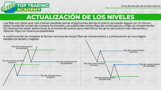 ACTUALIZACIÓN DE LOS NIVELES
Guía de estudio de la fase teórica
Los flips son giros que nos indican posibles zonas importantes donde el precio se puede apoyar en un futuro,
estos niveles se trazan de manera horizontal y se subdividen entre flips de continuación y flips de rompimiento.
Es importante saber determinar la armonía del precio para identificar los giros del precio más relevantes y
obtener flips con buena probabilidad.
A continuación se muestra la forma correcta de trazar flips de rompimiento y continuación en una lógica
tendencia alcista y bajista:
Flip de rompimiento
anterior.
Flip de rompimiento
actualizado.
Flip de continuación
actualizado.
Flip de continuación
anterior.
Flip de rompimiento
anterior.
Flip de rompimiento
actualizado.
Flip de continuación
actualizado.
Flip de continuación
anterior.
 