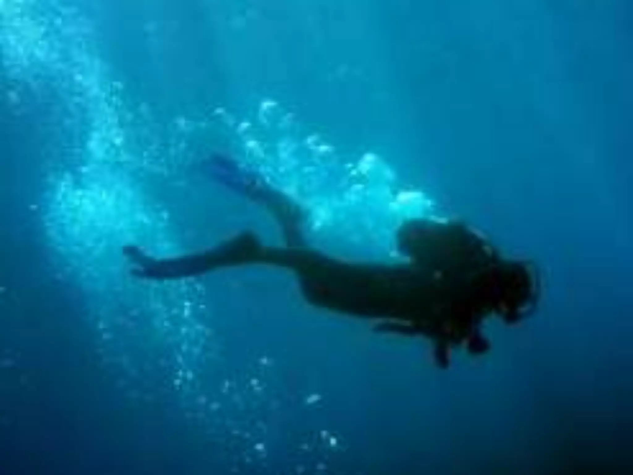 Howto.gov/firstfridaysHowto.gov/firstfridays
 