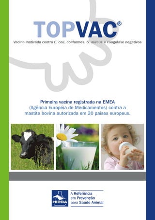 Vacina inativada contra E. coli, coliformes, S. aureus e coagulase negativos
Primeira vacina registrada na EMEA
(Agência Européia de Medicamentos) contra a
mastite bovina autorizada em 30 países europeus.
 
