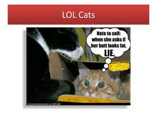 LOL Cats