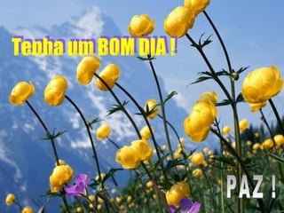Tenha um BOM DIA ! PAZ ! 