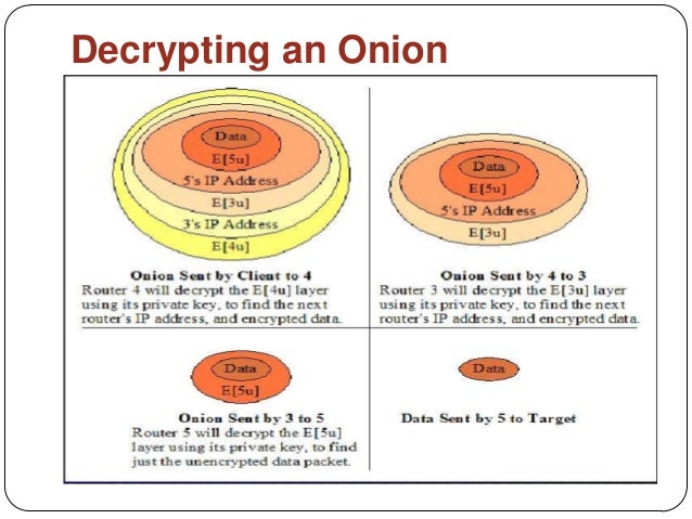 onion router meaning