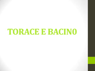 TORACE E BACIN0

 