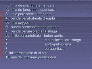 SPITALULCLINICDEPNEUMOLOGIEIASI
1.1. linia de jonctiune anterioaralinia de jonctiune anterioara
2.2. linia de jonctiune superioaralinia de jonctiune superioara
3.3. linie paracavala inferioaralinie paracavala inferioara
4.4. banda paratraheala dreaptabanda paratraheala dreapta
5.5. linia azygoslinia azygos
6.6. banda paraesofagiana dreaptabanda paraesofagiana dreapta
7.7. banda paraesofagiana stingabanda paraesofagiana stinga
8.8. liniile paraartetriale- buton aorticliniile paraartetriale- buton aortic
 a.subclaviculara stingaa.subclaviculara stinga
 aorto-pulmonaraaorto-pulmonara
 paraaortiacaparaaortiaca
9.9.linii paraspinale dr si stg.linii paraspinale dr si stg.
1010.linia de jonctiune posterioara.linia de jonctiune posterioara
 