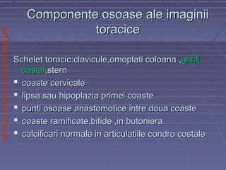 SPITALULCLINICDEPNEUMOLOGIEIASI
Schelet toracic:clavicule,omoplati coloanaSchelet toracic:clavicule,omoplati coloana ,,grilajgrilaj
costalcostal,stern,stern
 coaste cervicalecoaste cervicale
 lipsa sau hipoplazia primei coastelipsa sau hipoplazia primei coaste
 punti osoase anastomotice intre doua coastepunti osoase anastomotice intre doua coaste
 coaste ramificate,bifide ,in butonieracoaste ramificate,bifide ,in butoniera
 calcificari normale in articulatiile condro costalecalcificari normale in articulatiile condro costale
Componente osoase ale imaginiiComponente osoase ale imaginii
toracicetoracice
 