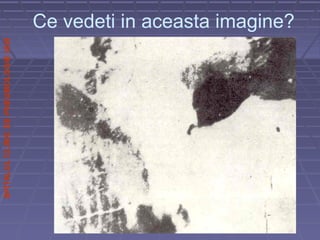 SPITALULCLINICDEPNEUMOLOGIEIASI
Ce vedeti in aceasta imagine?
 