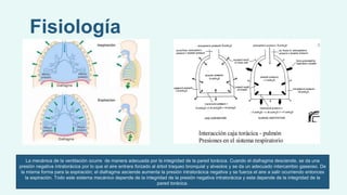 Fisiología
La mecánica de la ventilación ocurre de manera adecuada por la integridad de la pared torácica. Cuando el diafragma desciende, se da una
presión negativa intratorácica por lo que el aire entrara forzado al árbol traqueo bronquial y alveolos y se da un adecuado intercambio gaseoso. De
la misma forma para la espiración; el diafragma asciende aumenta la presión intratorácica negativa y se fuerza el aire a salir ocurriendo entonces
la espiración. Todo este sistema mecánico depende de la integridad de la presión negativa intratorácica y esta depende de la integridad de la
pared torácica.
 