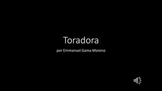 Toradora
por Emmanuel Gama Moreno
 