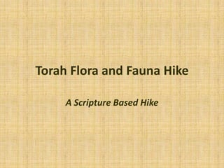 Torah Flora and Fauna Hike A Scripture Based Hike 